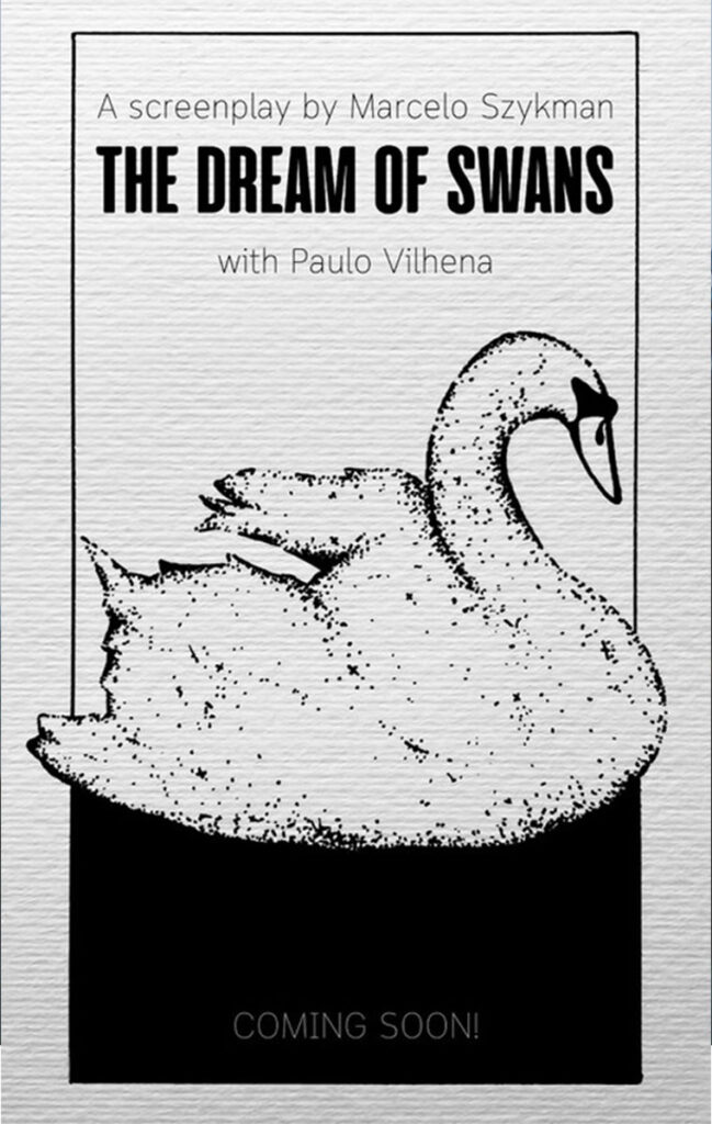 The Dream Of Swans poster