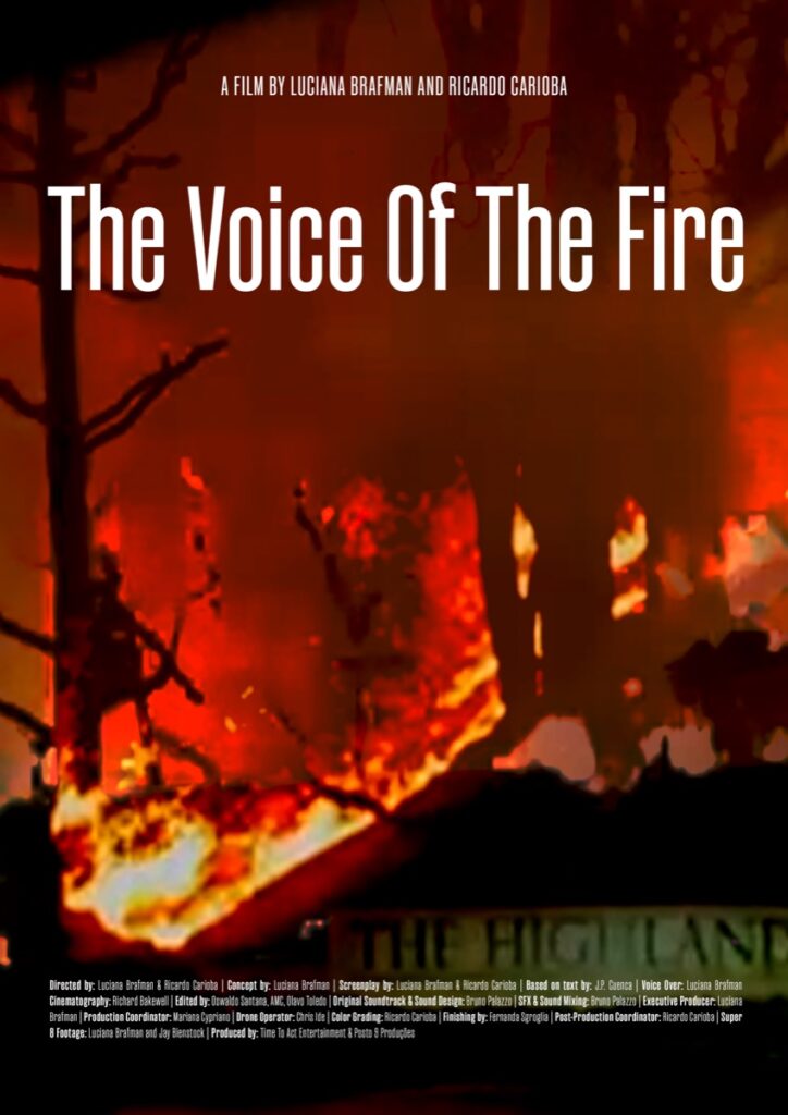 The Voice of the Fire poster